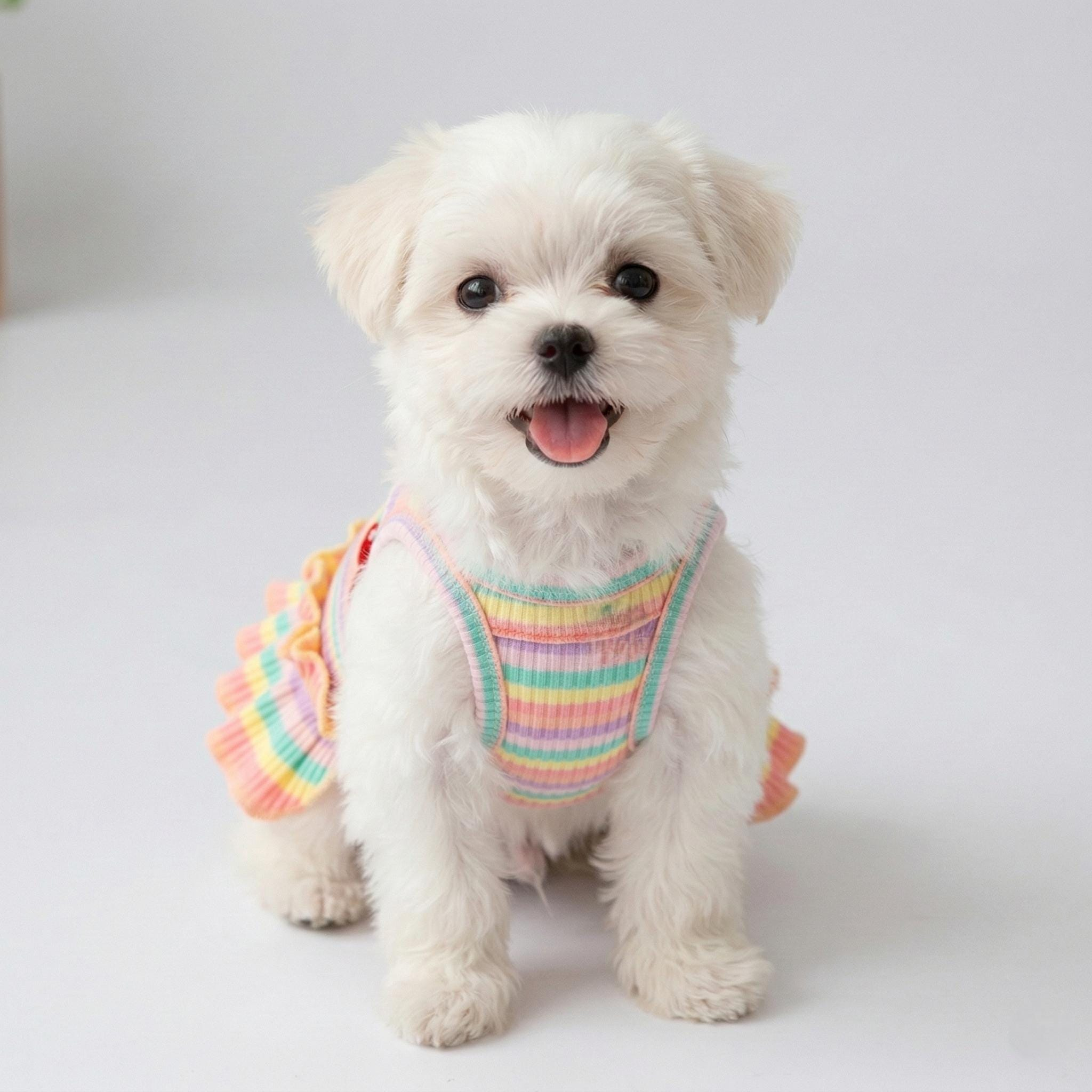 Pastel Rainbow Striped Pet Dress, Soft Ribbed Sleeveless Dog Dress with Ruffle Skirt for Small Dogs and Cats