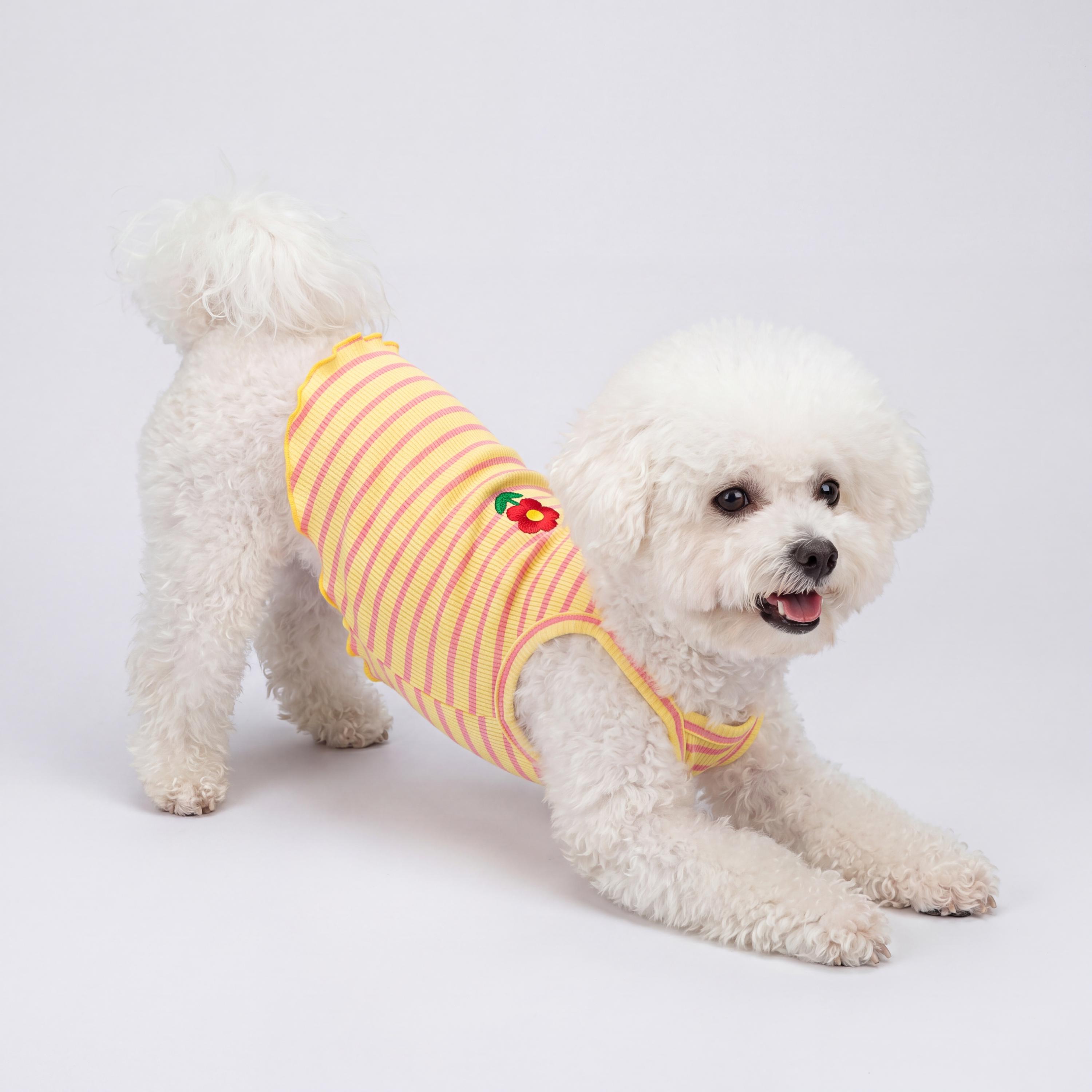 Yellow and Pink Striped Pet Tank Top, Soft Ribbed Sleeveless Dog Shirt for Small Dogs and Cats