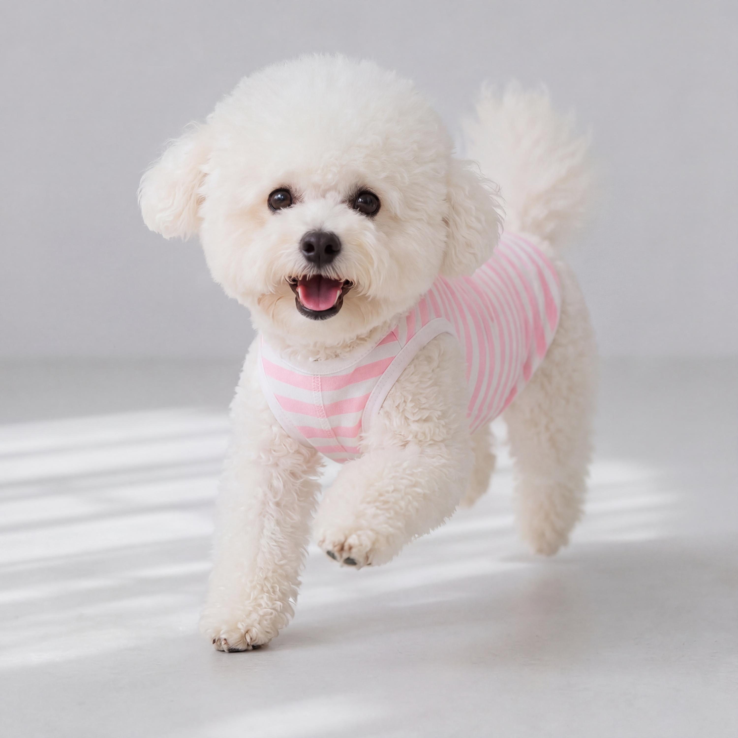 Pink and White Striped Pet Tank Top, Soft Ribbed Sleeveless Dog Shirt for Small Dogs and Cats