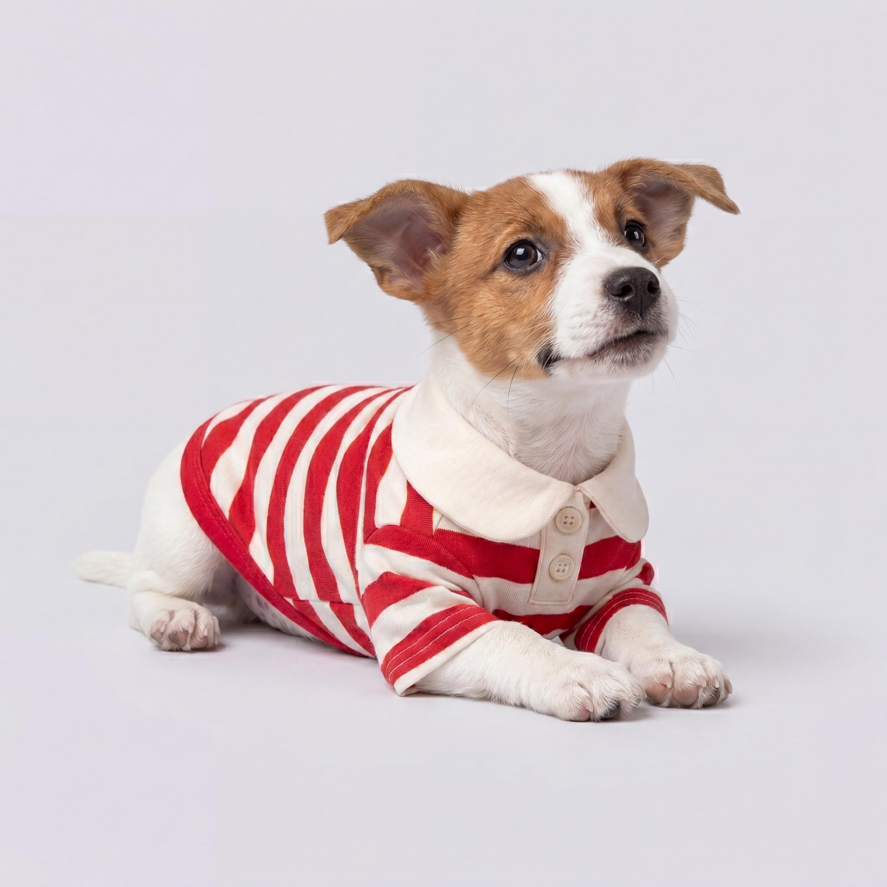 Red and White Striped Polo Pet Shirt, Soft Short Sleeve Dog Outfit for Small Dogs and Cats