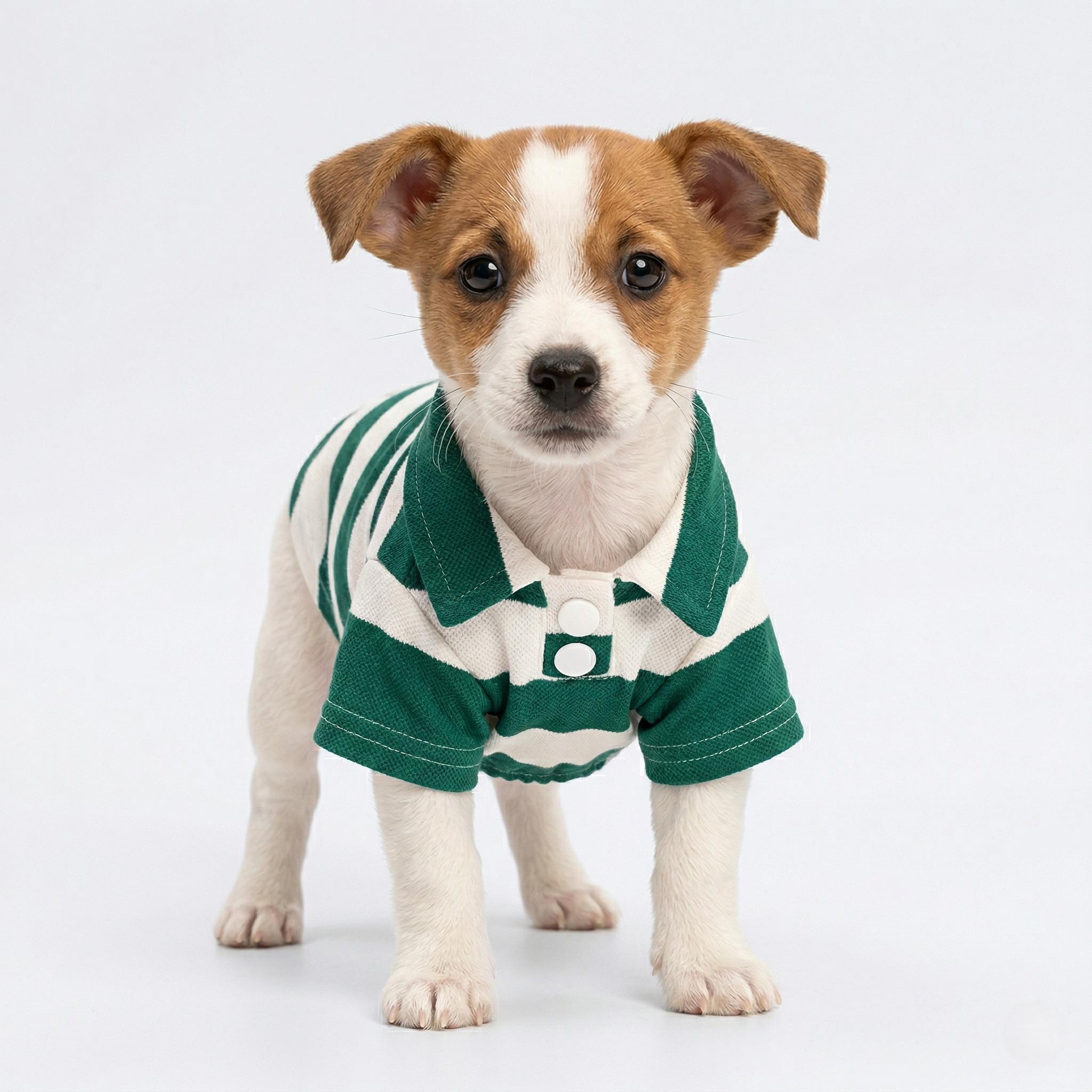 Green and White Striped Polo Pet Shirt, Soft Short Sleeve Dog Outfit for Puppies and Small Dogs